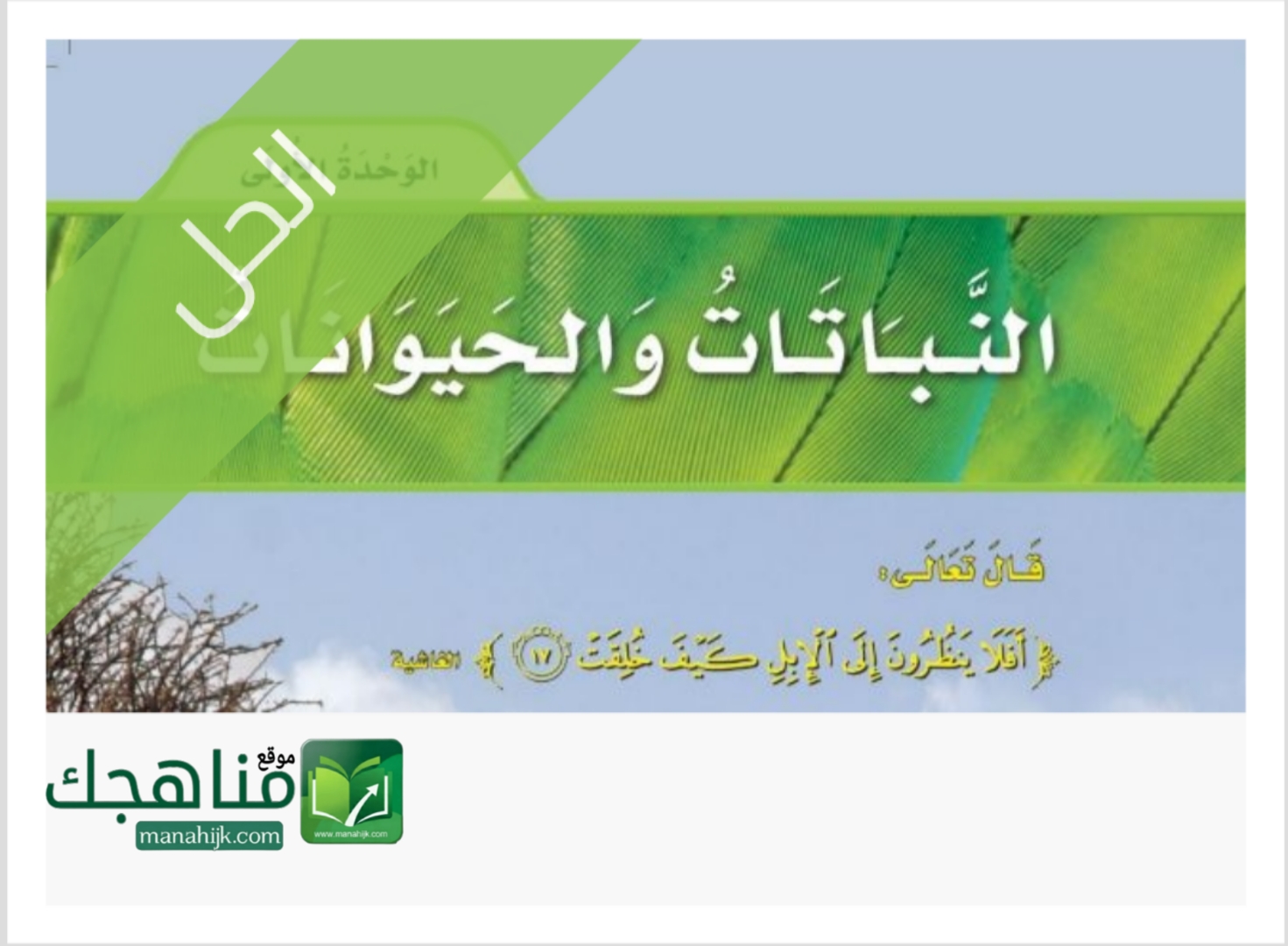 Picsart_26-01-21_18-25-44-815