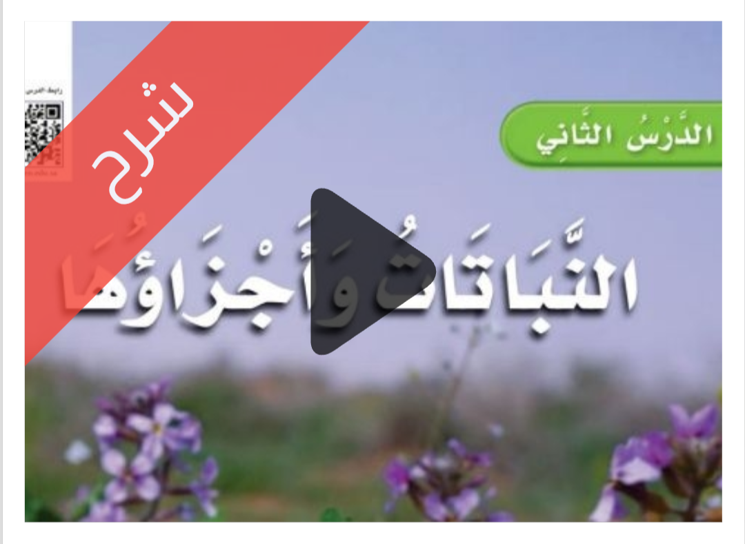 درس النباتات شرح درس النباتات