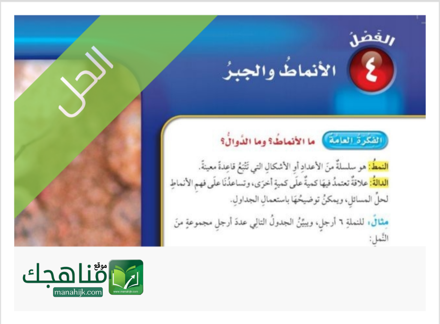 حل الفصل الرابع الانماط والجبر الحل