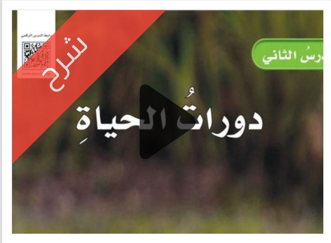 شرح درس دورات الحياة