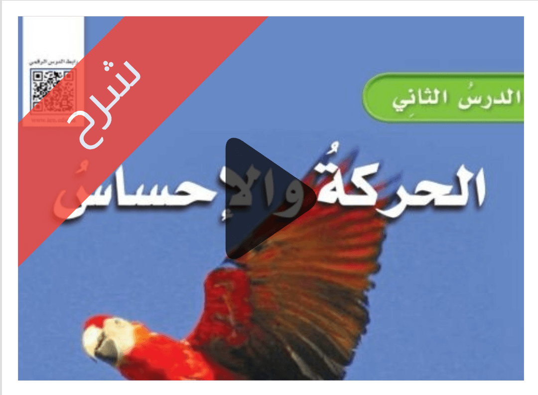 درس الحركة والإحساس