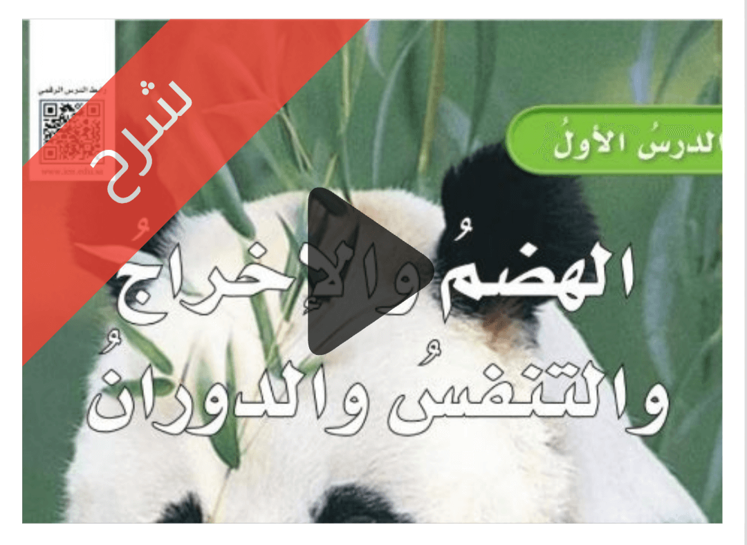 درس الهضم والإخراج والتنفس والدوران