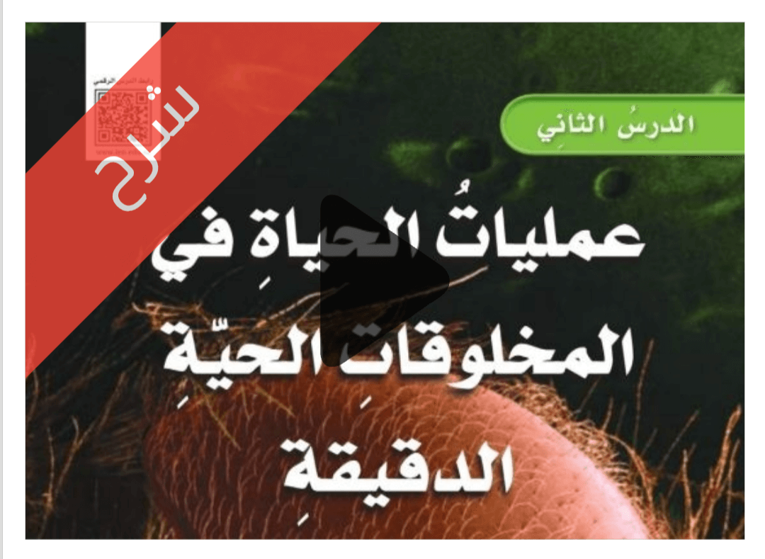 درس عمليات الحياة في المخلوقات الحية الدقيقة