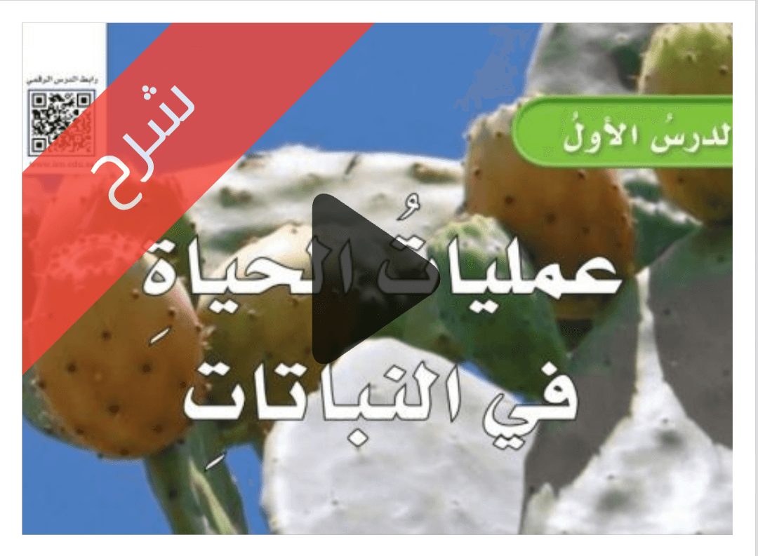 درس عمليات الحياة في النباتات